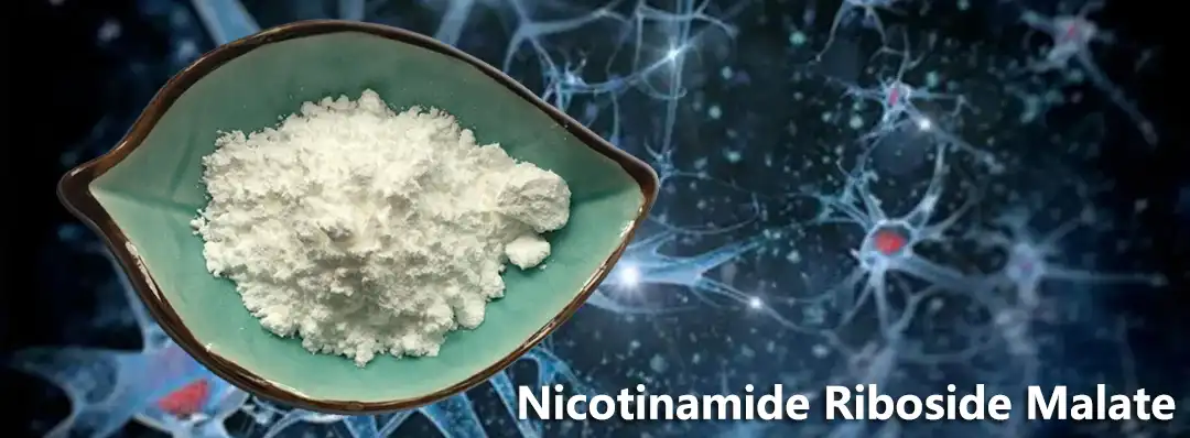 Nicotinamide Riboside Malate Factory.jpg Nicotinamide Riboside Malate Factory.jpg